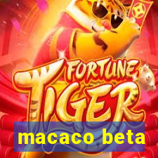 macaco beta