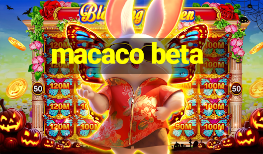 macaco beta