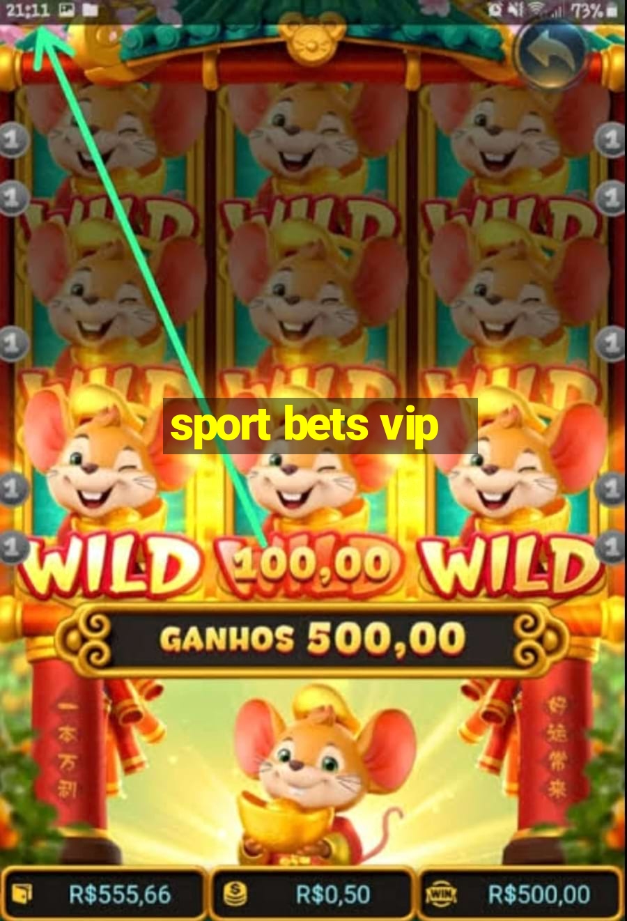 sport bets vip