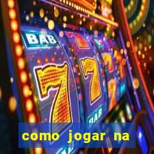 como jogar na teimosinha da lotofacil