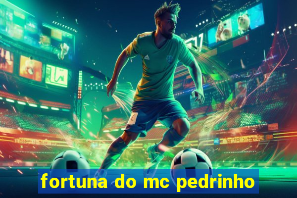 fortuna do mc pedrinho