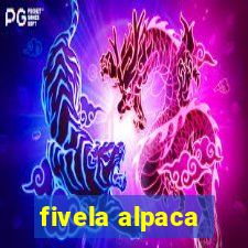 fivela alpaca