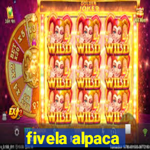 fivela alpaca