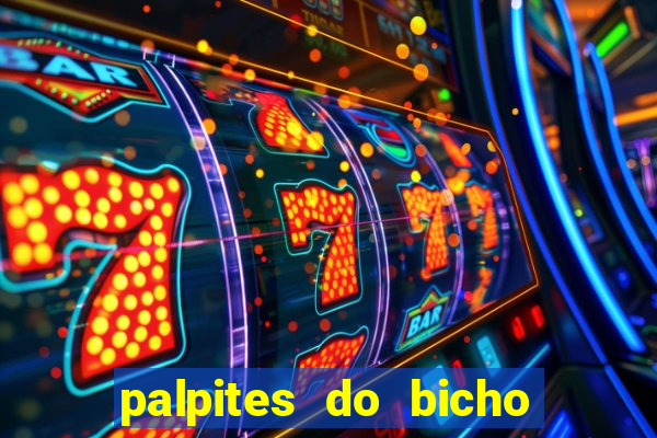 palpites do bicho no celular