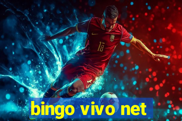 bingo vivo net