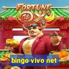 bingo vivo net