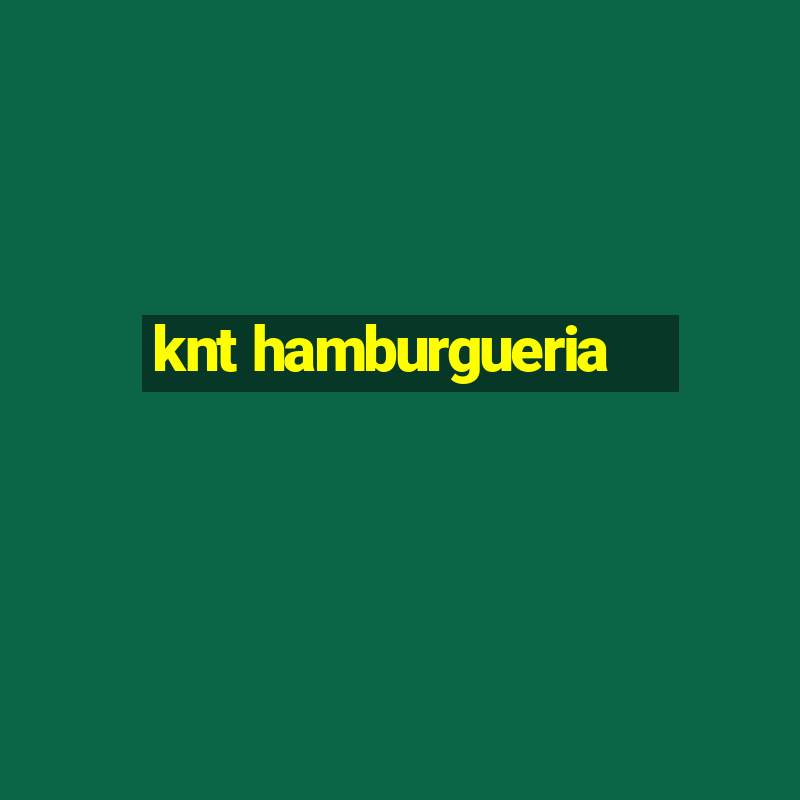 knt hamburgueria