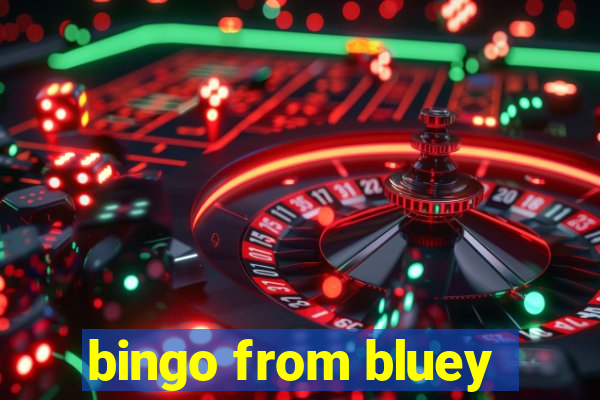 bingo from bluey