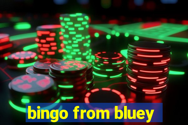 bingo from bluey