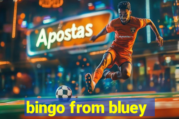 bingo from bluey