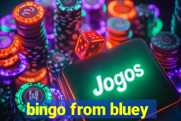 bingo from bluey