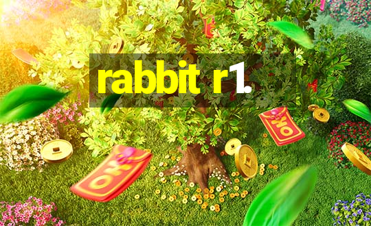 rabbit r1.