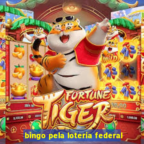 bingo pela loteria federal