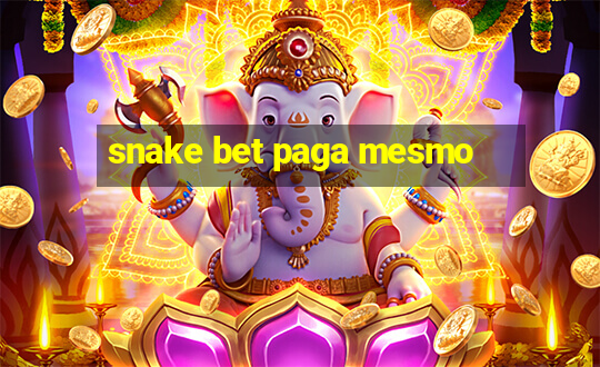 snake bet paga mesmo