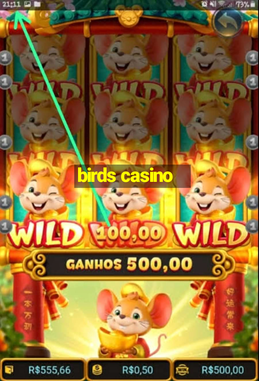 birds casino