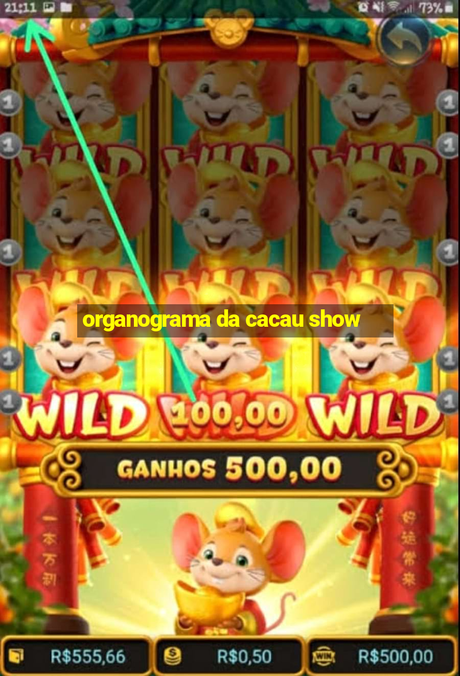 organograma da cacau show