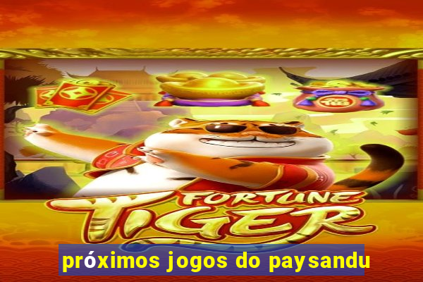 próximos jogos do paysandu