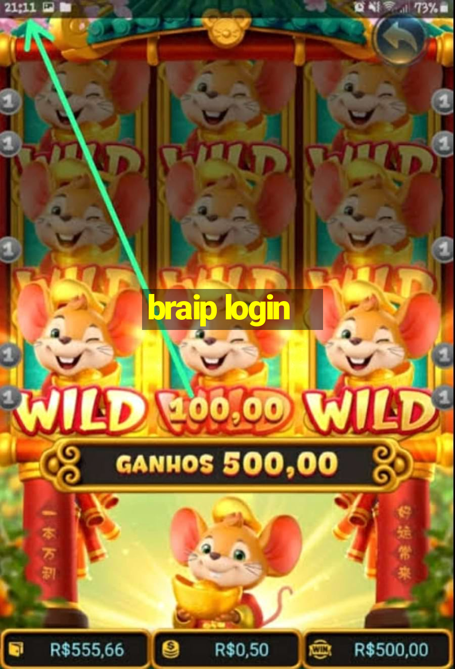 braip login