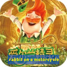 rabbit on a motorcycle