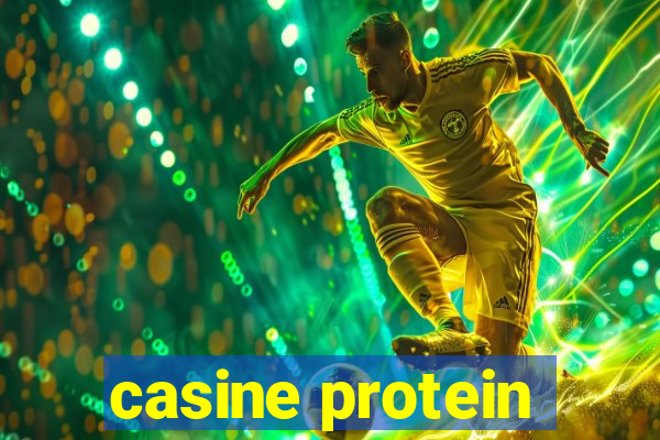 casine protein