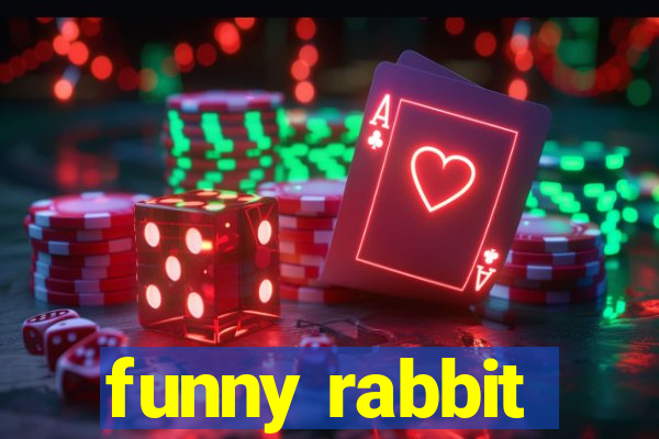 funny rabbit