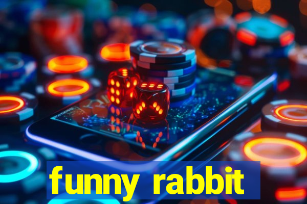 funny rabbit