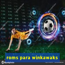 roms para winkawaks