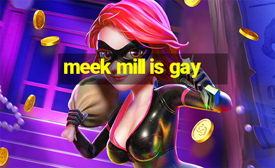 meek mill is gay