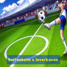 hoffenheim x leverkusen