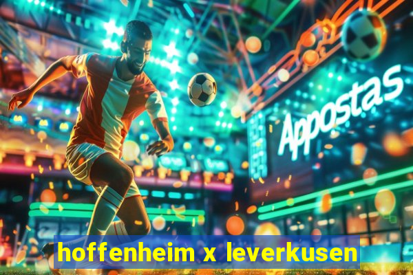 hoffenheim x leverkusen