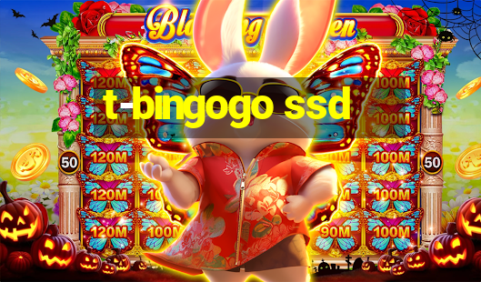 t-bingogo ssd