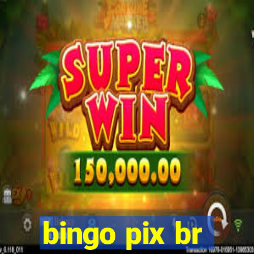 bingo pix br