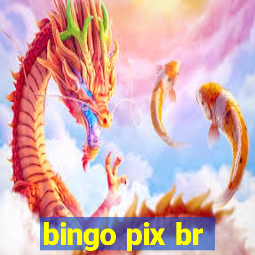 bingo pix br