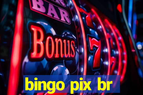 bingo pix br