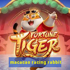 macacao racing rabbit