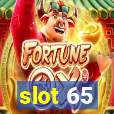 slot 65