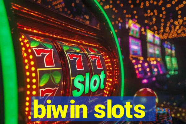 biwin slots