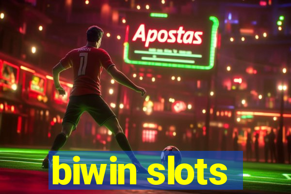 biwin slots