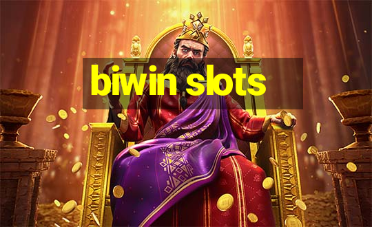 biwin slots