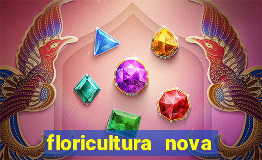 floricultura nova flor videira