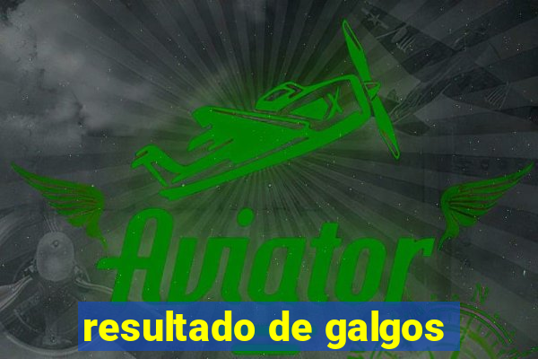 resultado de galgos