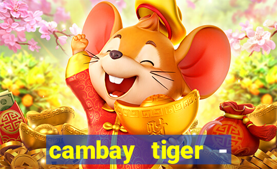 cambay tiger - seafood & meat