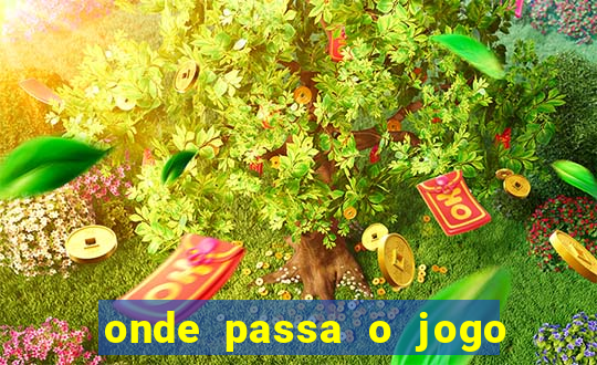 onde passa o jogo do brasil