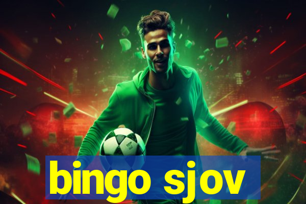 bingo sjov