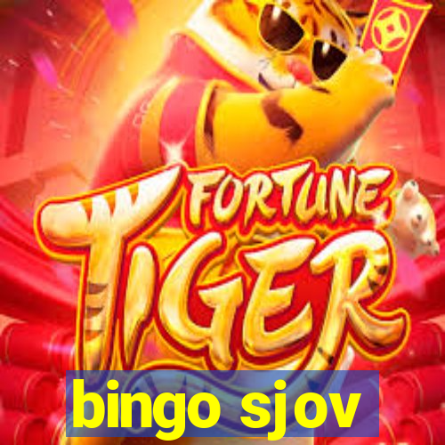 bingo sjov