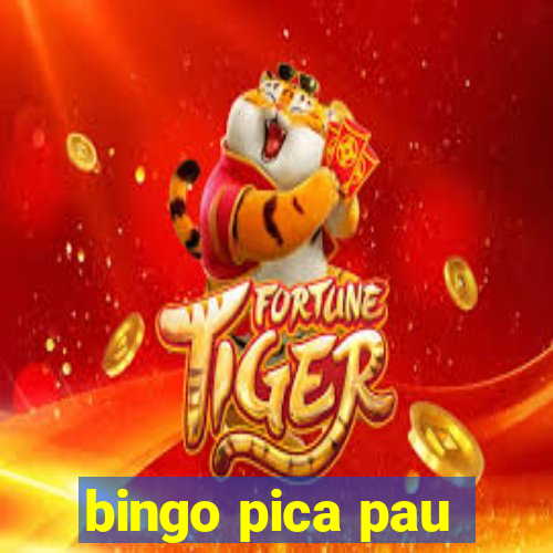 bingo pica pau