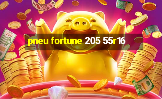 pneu fortune 205 55r16