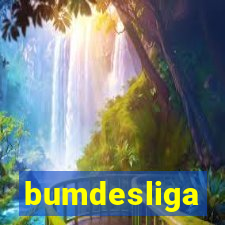 bumdesliga