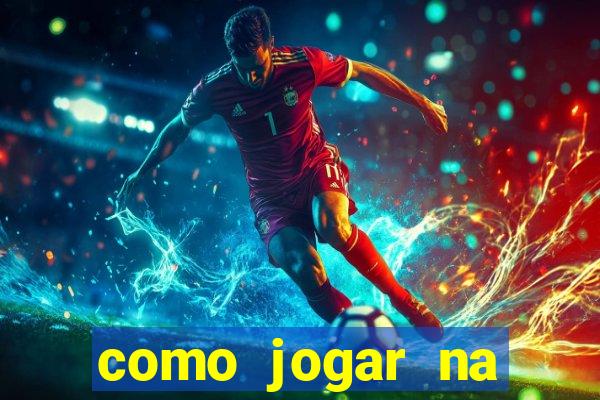 como jogar na lotinha do jogo do bicho