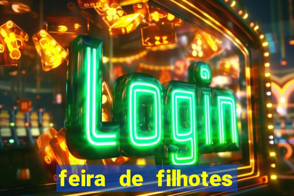 feira de filhotes porto alegre